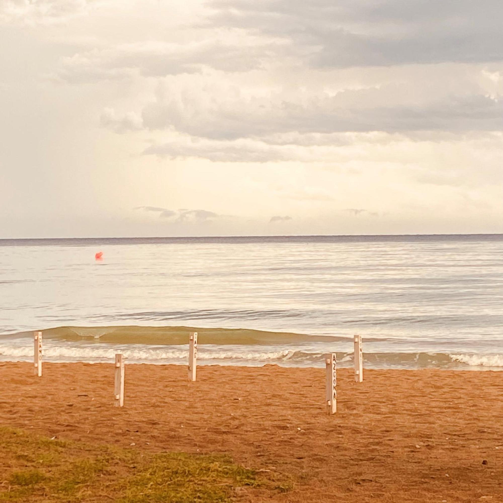 Acogedor Y Amplio Apartamento Familiar A Pie De Playa 卡拉费尔 外观 照片